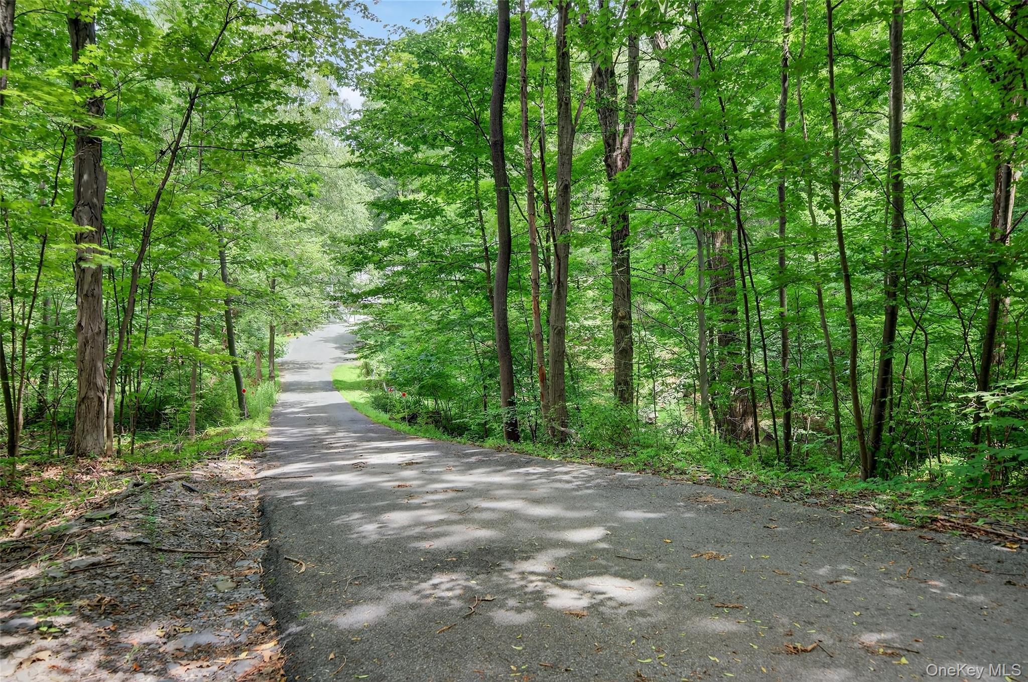 72 Peddler Hill Road Monroe, NY 10950 - Photo 48 of 50 a view of backyard with green space