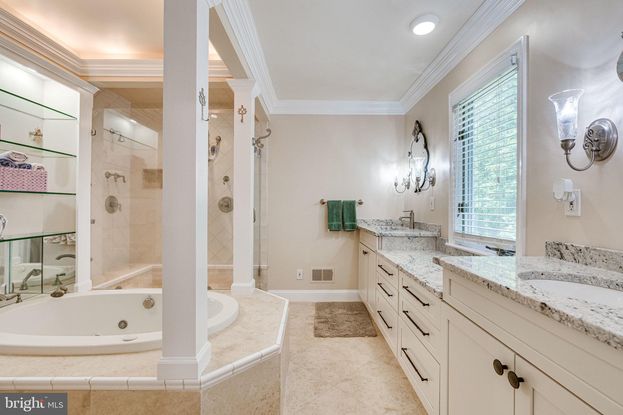 17182 Clarksridge Road Leesburg, VA 20176 - Photo 16 of 38 Relax in this luxurious spa bath