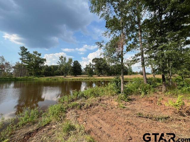 38-acres Off Watson Road Kilgore, TX 75662 - Photo 30 of 38