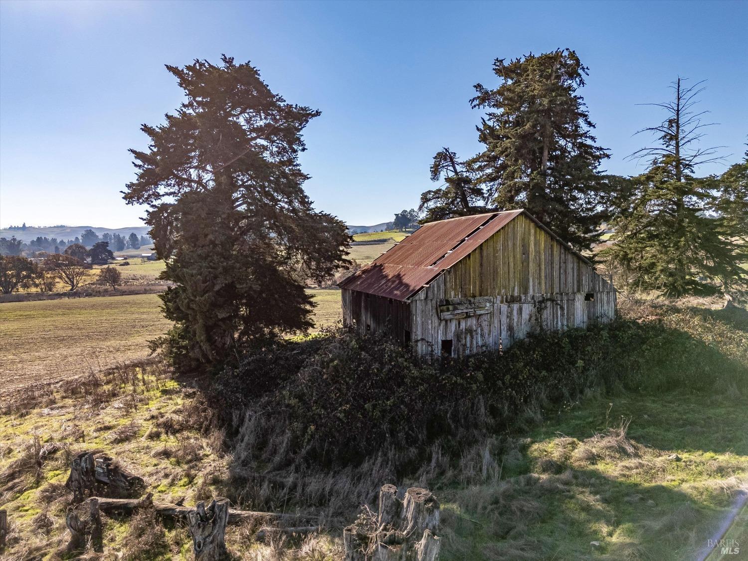 6000 Petersen Road Sebastopol, CA 95472 - Photo 15 of 25 a backyard of a house with lots of green space