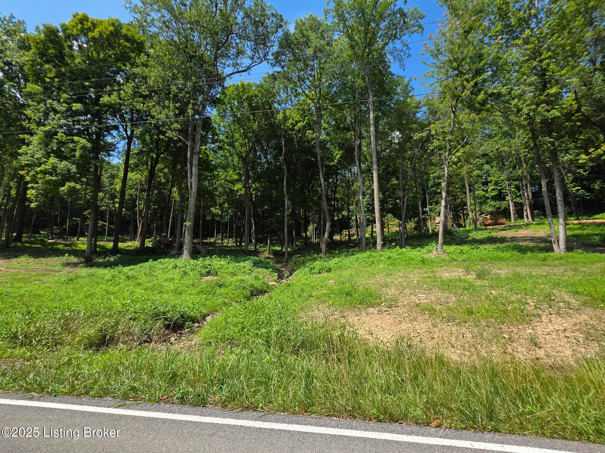 3 Cave Creek Road Falls Of Rough, KY 40119 - Photo 3 of 7 Lot 3-1