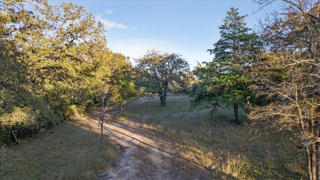 936 Southeast Parkway Azle, TX 76020 - Photo 13 of 14 a view of a forest with trees in the background