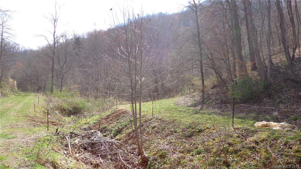 0 Willow Lane Marshall, NC 28753 - Photo 1 of 2 a view of a backyard