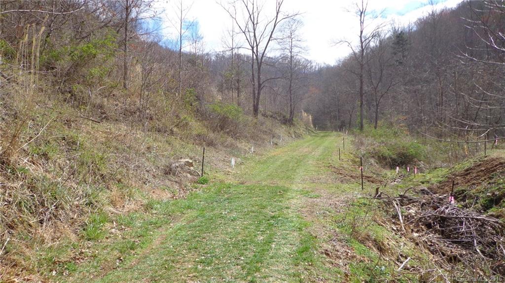 0 Willow Lane Marshall, NC 28753 - Photo 2 of 2 a view of small yard