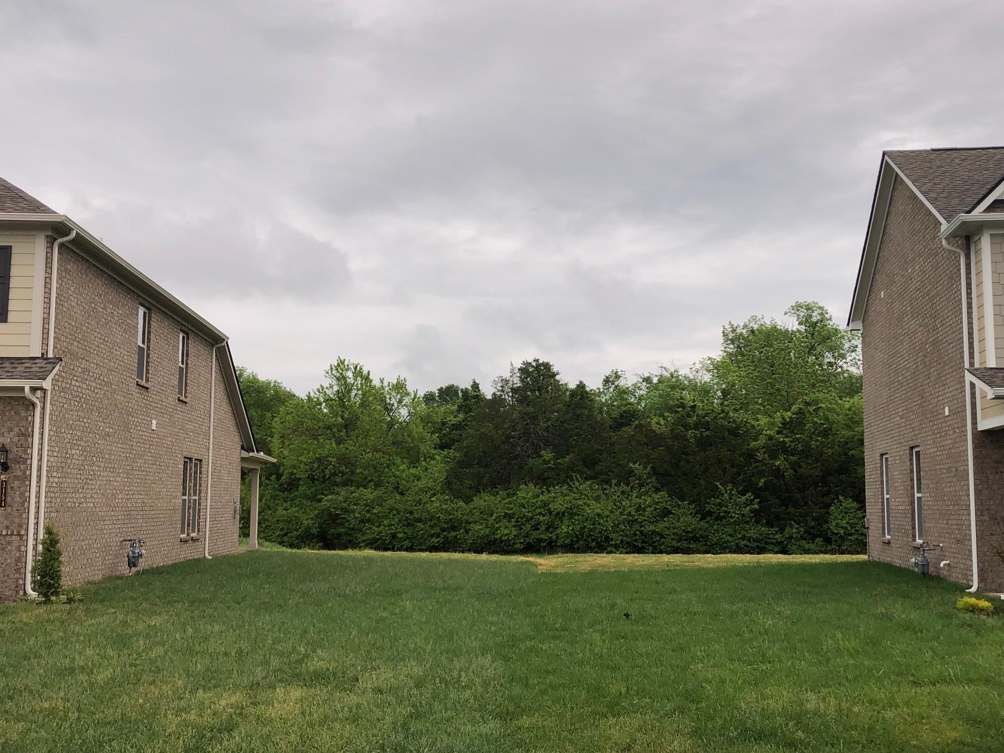 3146 Rift Lane Murfreesboro, TN 37130 - Photo 28 of 29 Extra space between homes on left side