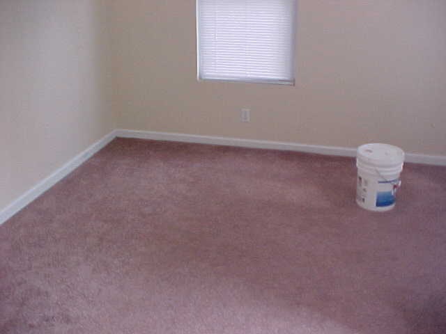 235 Maco Terrace Greenville, SC 29607 - Photo 4 of 5