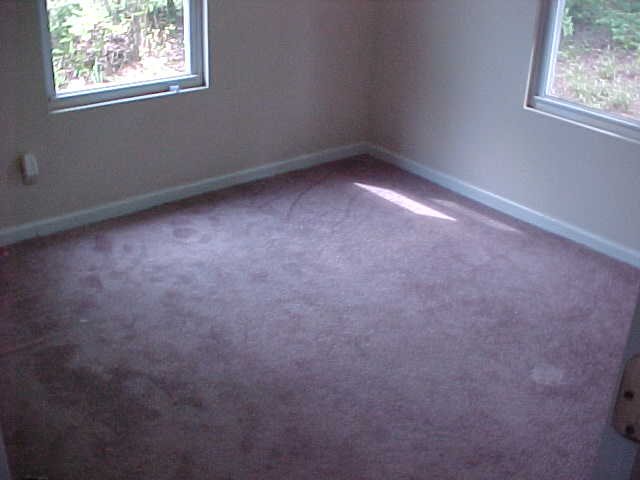 235 Maco Terrace Greenville, SC 29607 - Photo 5 of 5