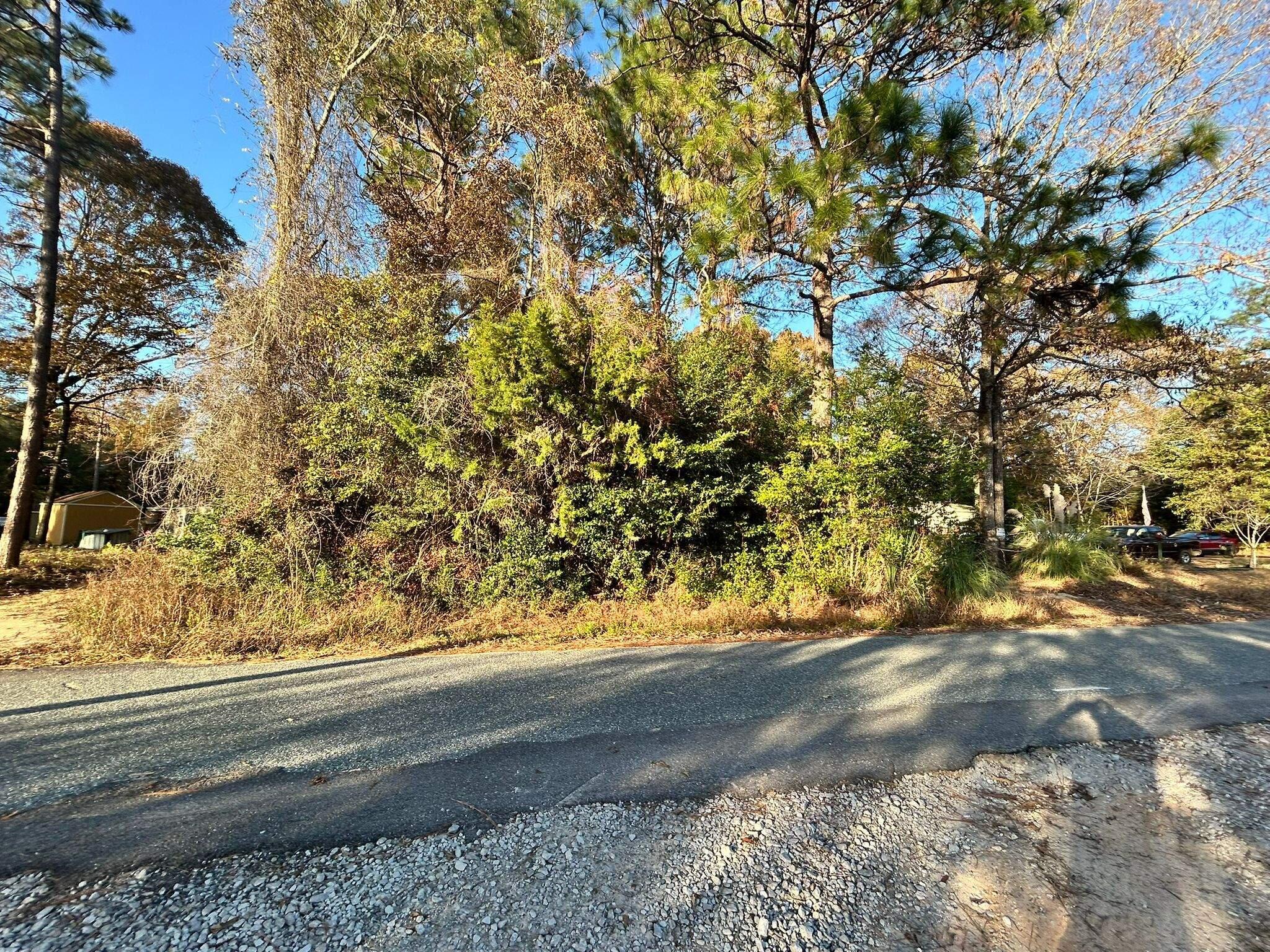 Tbd Adams Road Crestview, FL 32536 - Photo 1 of 3