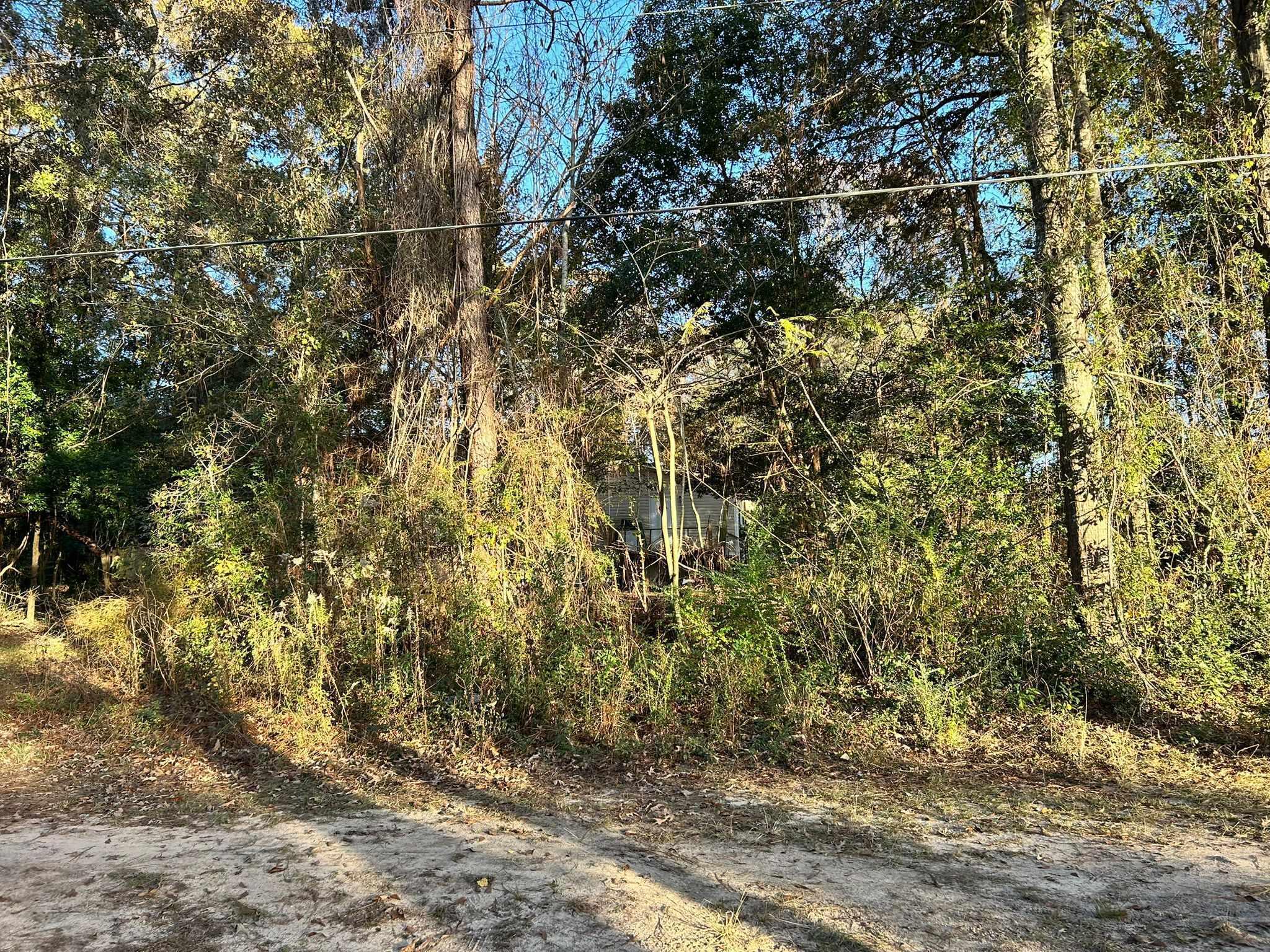 Tbd Adams Road Crestview, FL 32536 - Photo 3 of 3