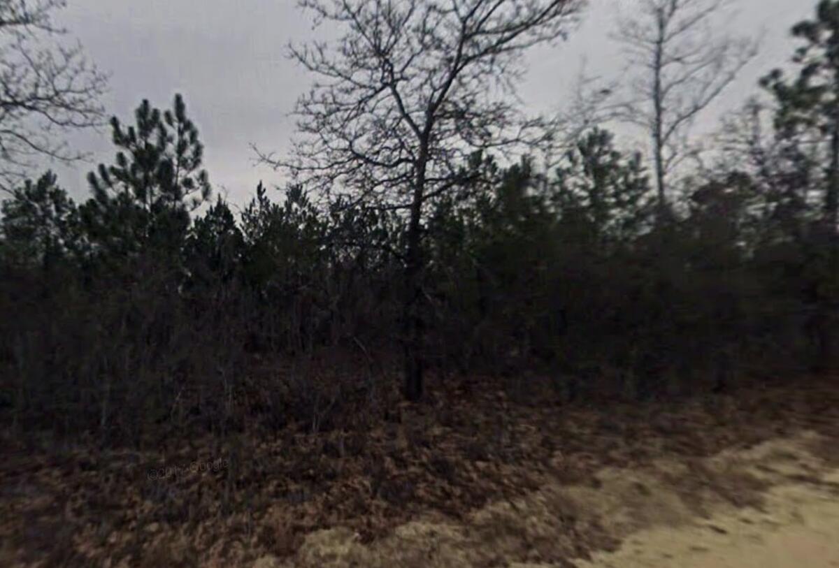 Tbd Baughmanville Road Wagener, SC 29164 - Photo 2 of 4 Gallery Image 2
