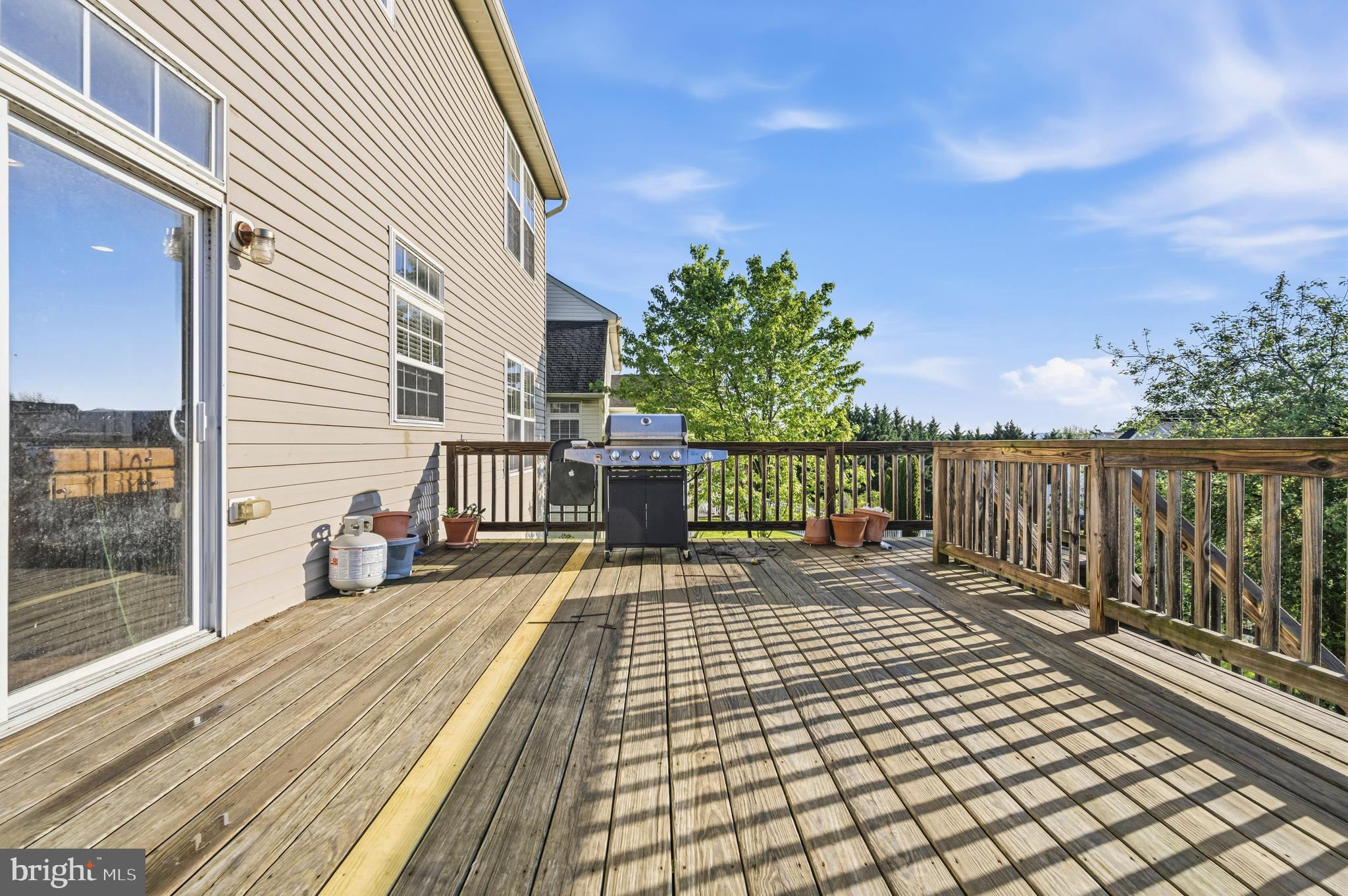 10 Fiona Way Brunswick, MD 21758 - Photo 17 of 45