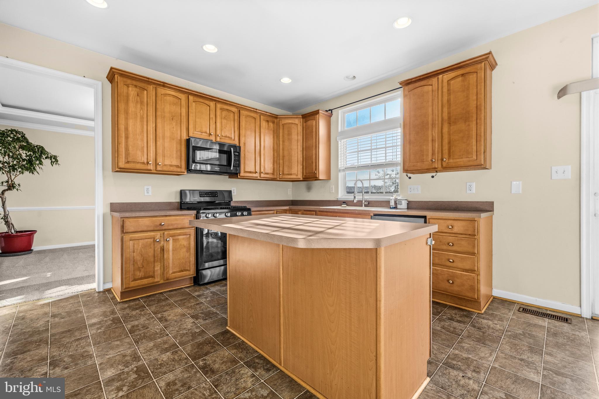 10 Fiona Way Brunswick, MD 21758 - Photo 8 of 45