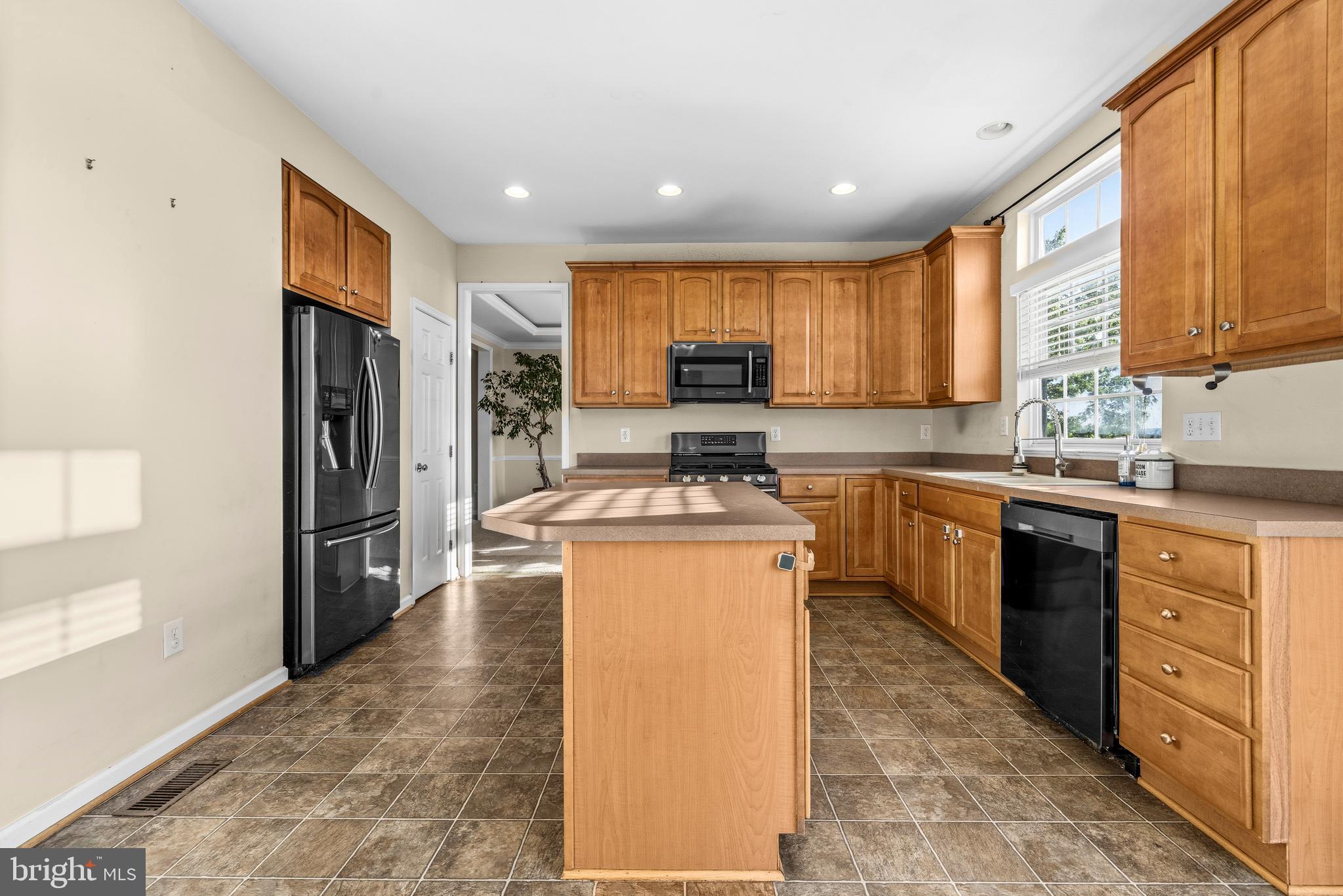 10 Fiona Way Brunswick, MD 21758 - Photo 9 of 45