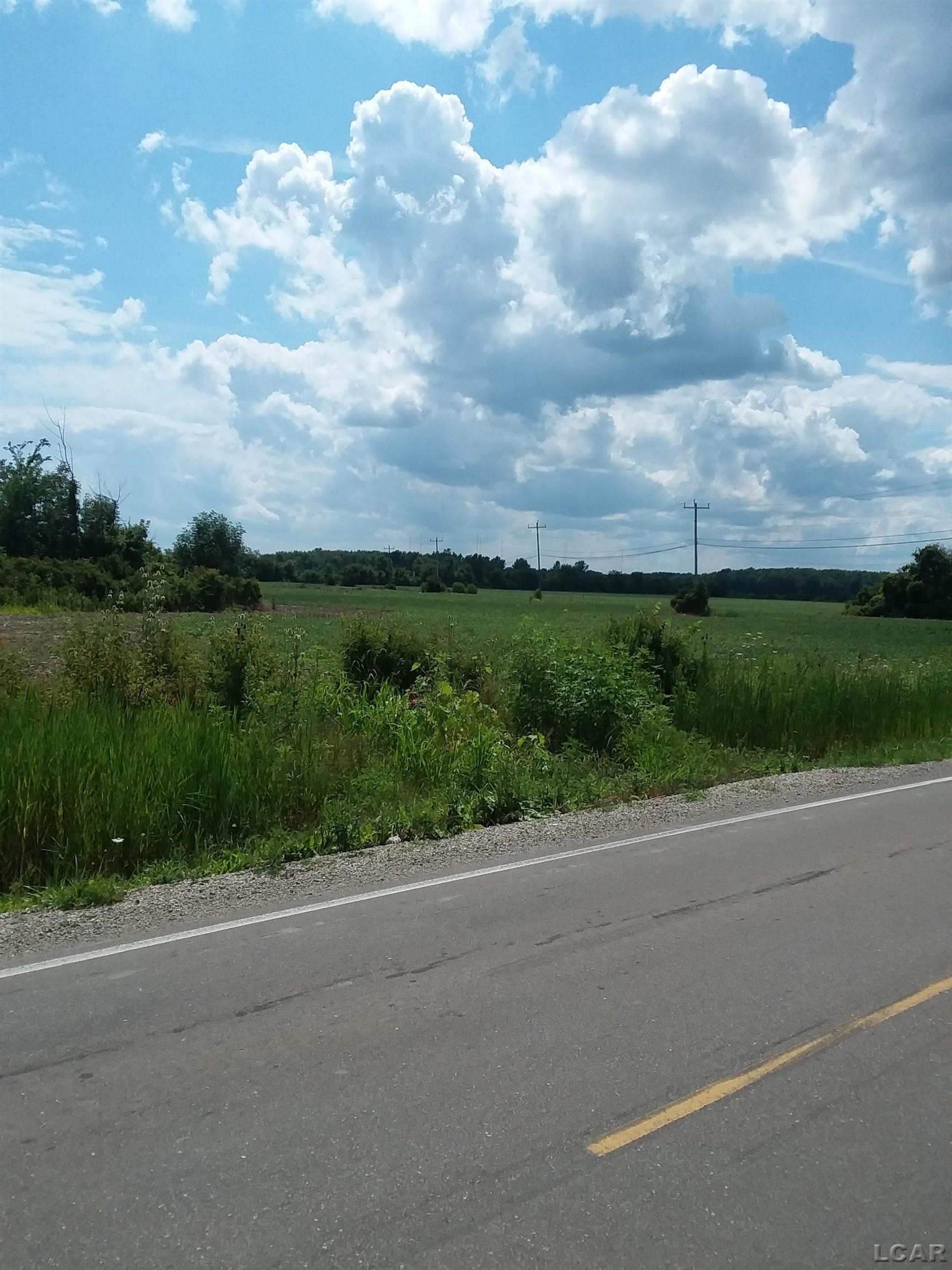2268 East Sigler Road Carleton, MI 48117 - Photo 8 of 11