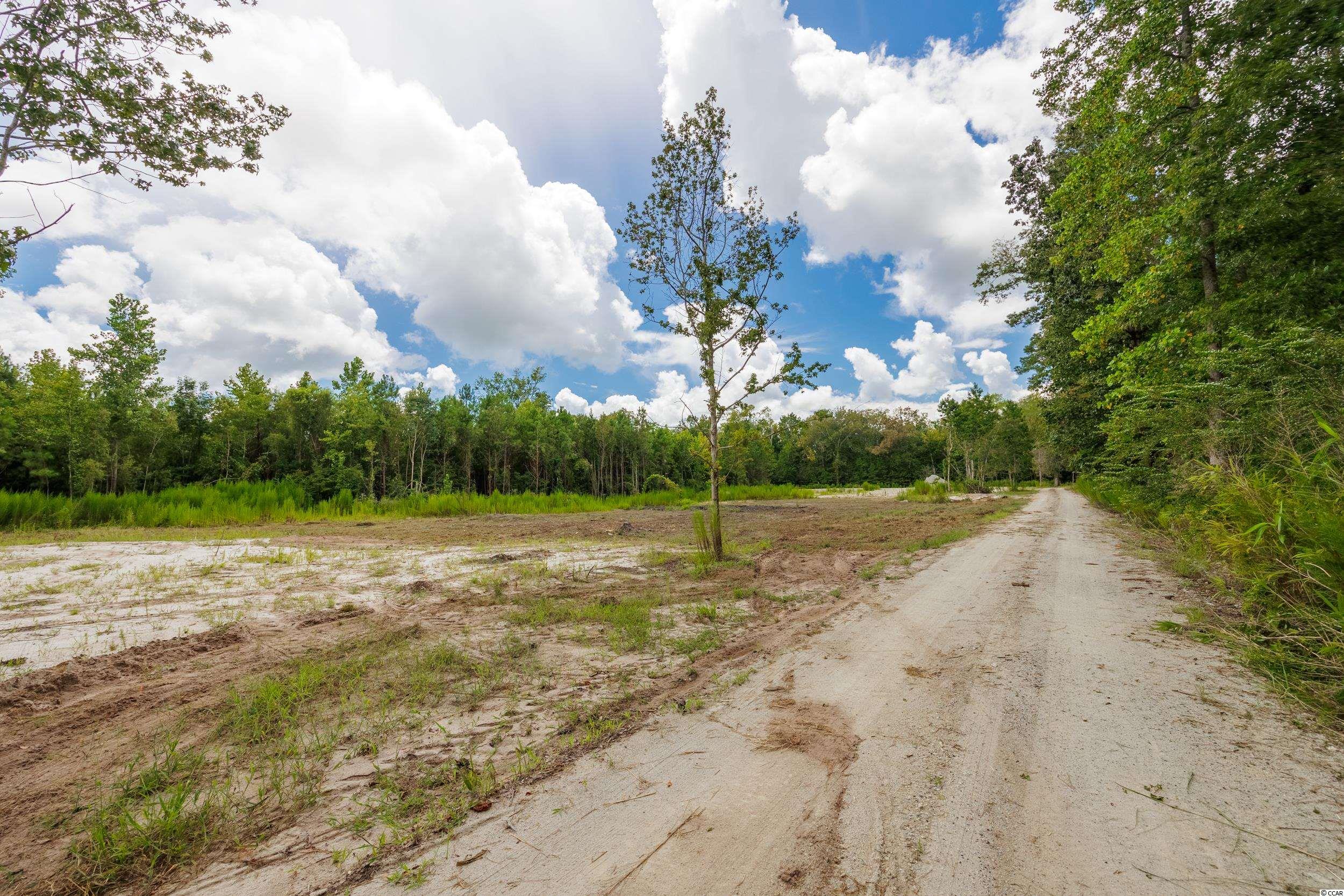 1734 Ole Amanda Road Conway, SC 29527 - Photo 11 of 25 Gallery Image 11