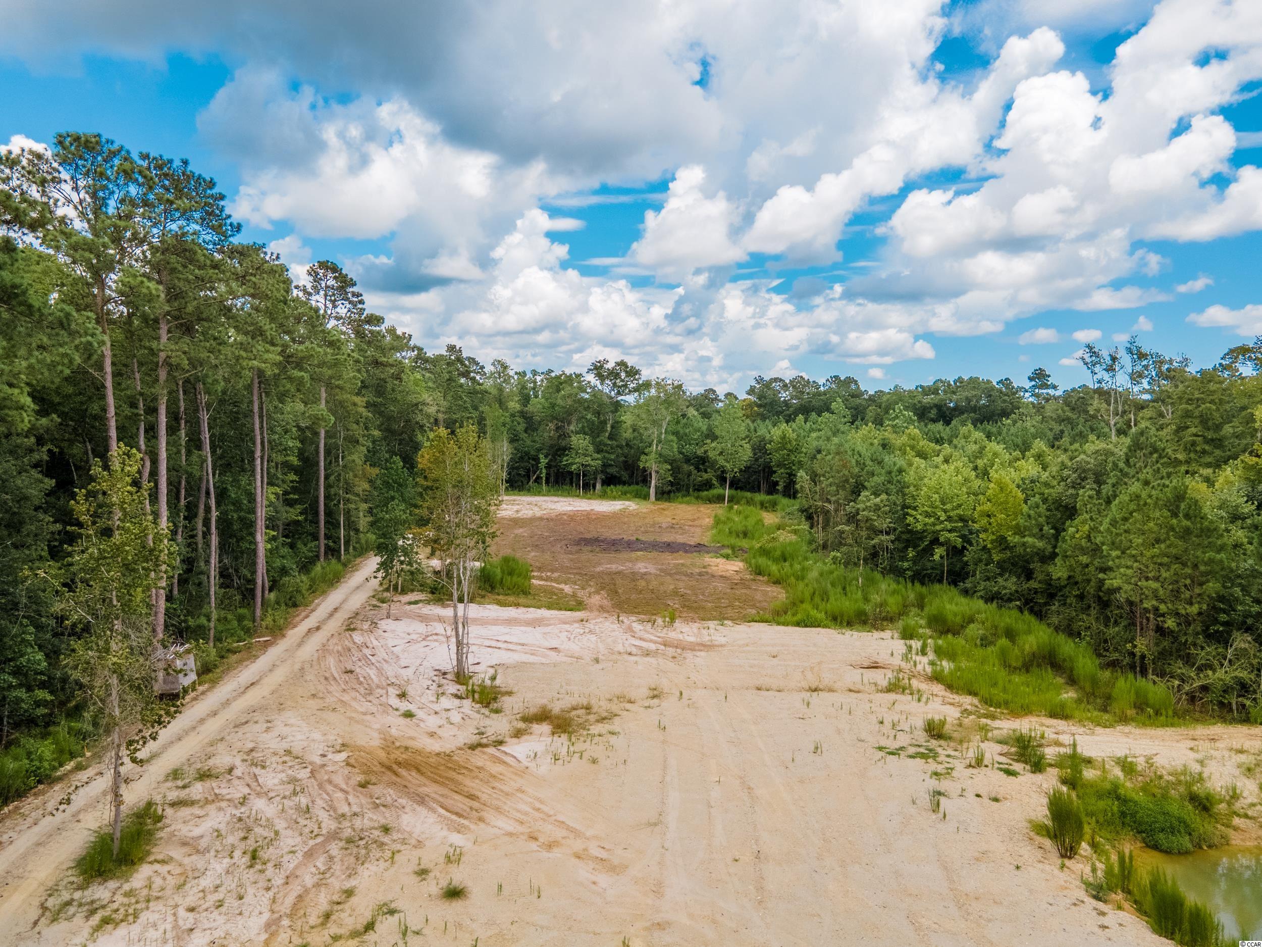 1734 Ole Amanda Road Conway, SC 29527 - Photo 19 of 25 Gallery Image 19