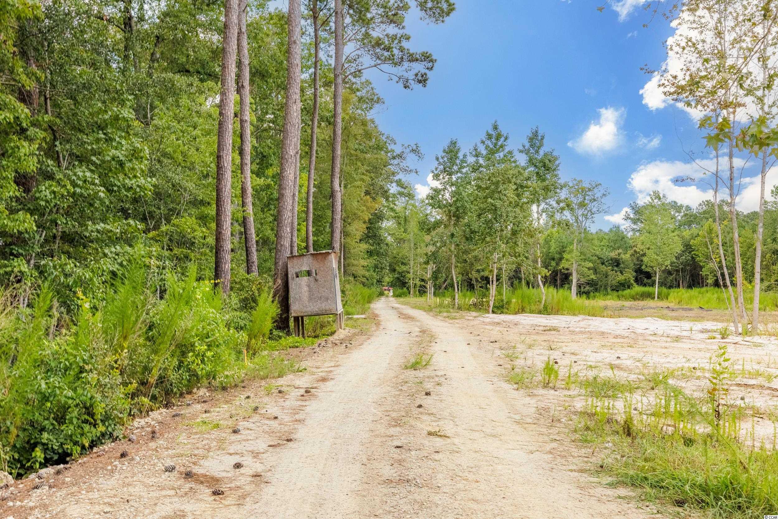 1734 Ole Amanda Road Conway, SC 29527 - Photo 4 of 25 Gallery Image 4