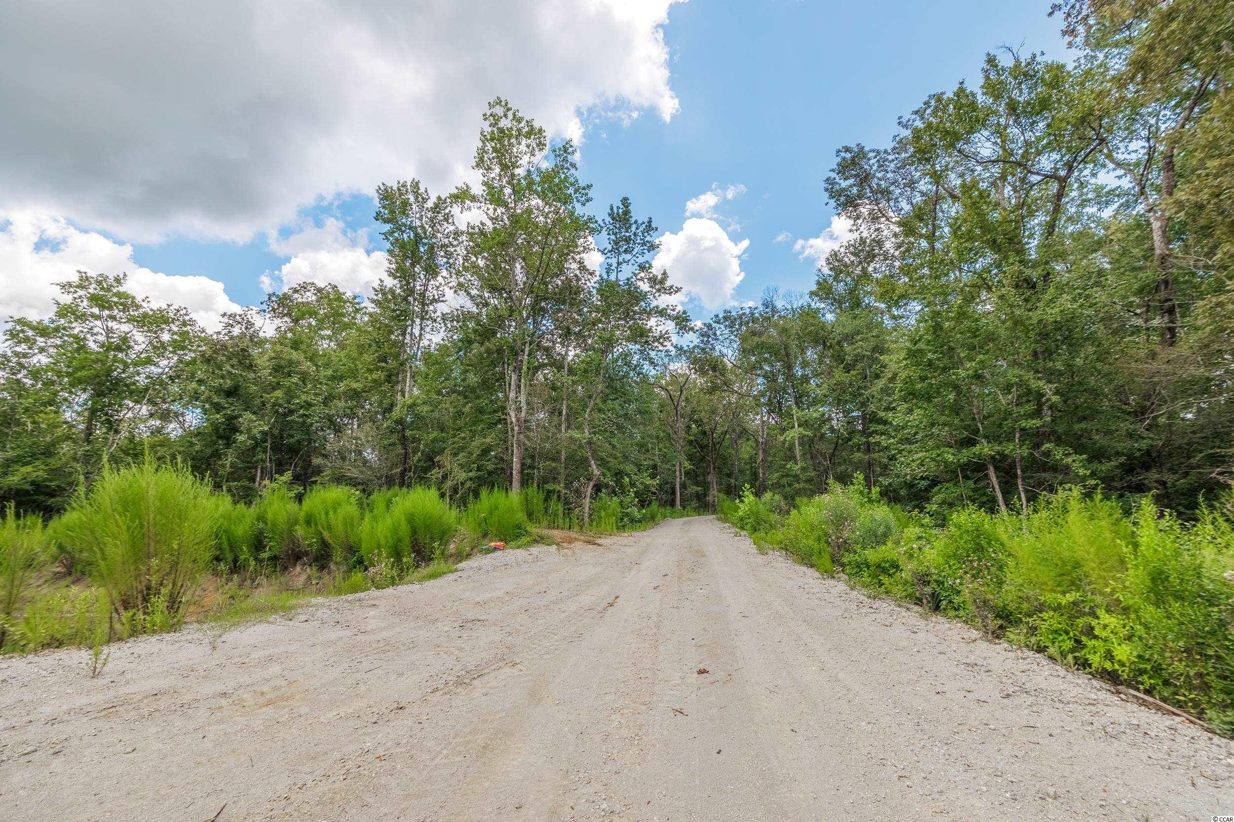 1734 Ole Amanda Road Conway, SC 29527 - Photo 5 of 25 Gallery Image 5