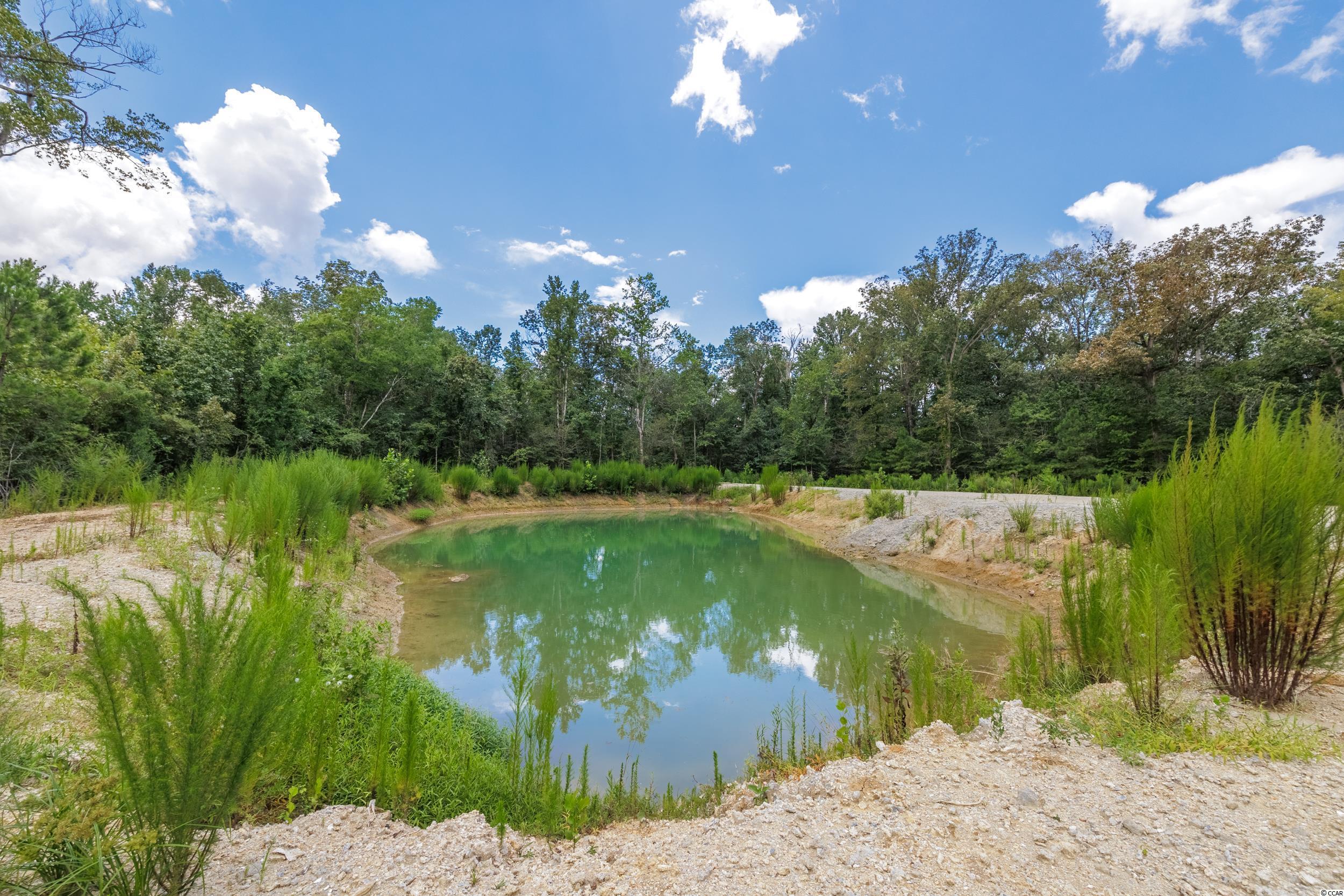 1734 Ole Amanda Road Conway, SC 29527 - Photo 6 of 25 Gallery Image 6