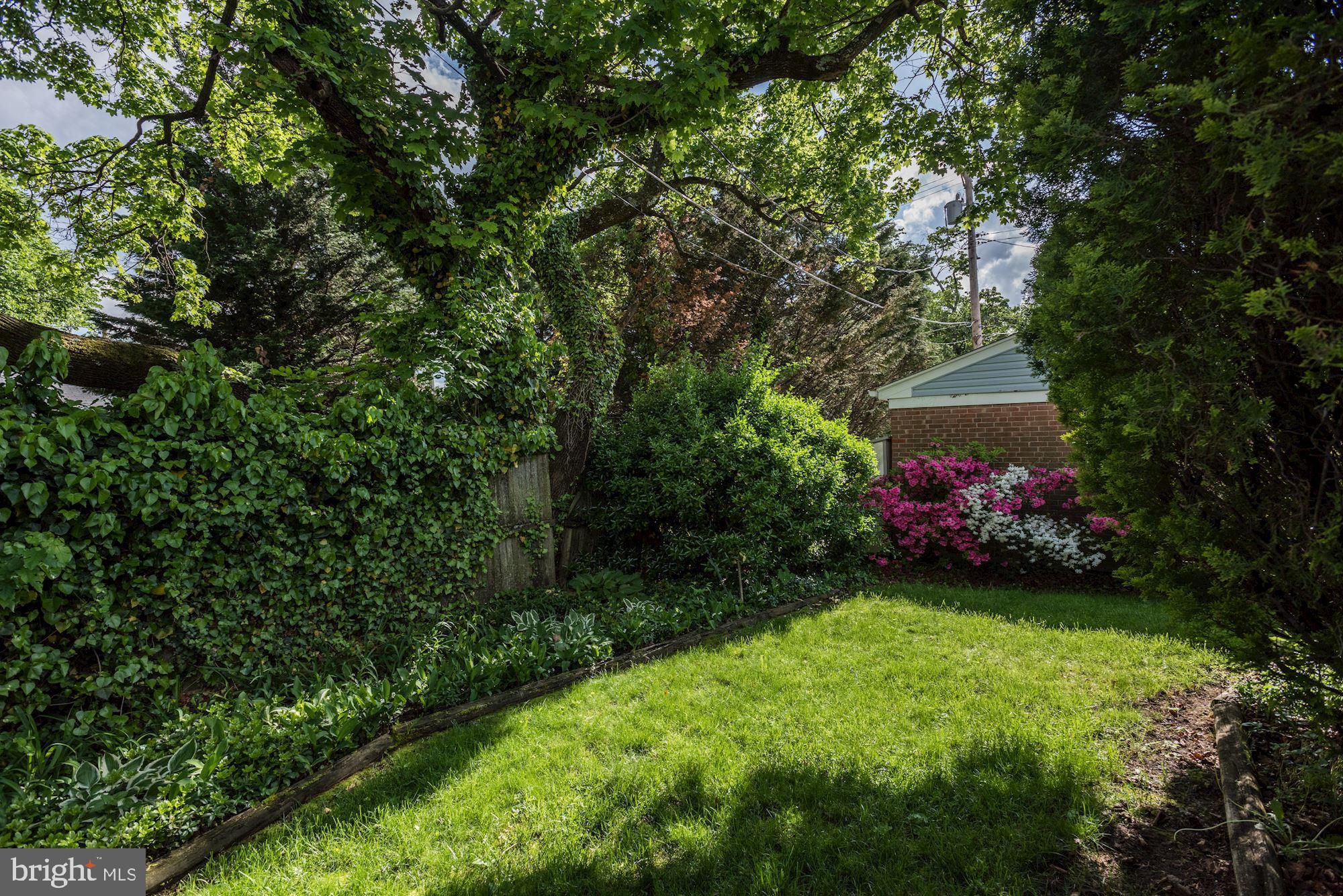 903 Arran Road Baltimore, MD 21239 - Photo 34 of 40 Level yard. perfect for sports, dog, gardens.