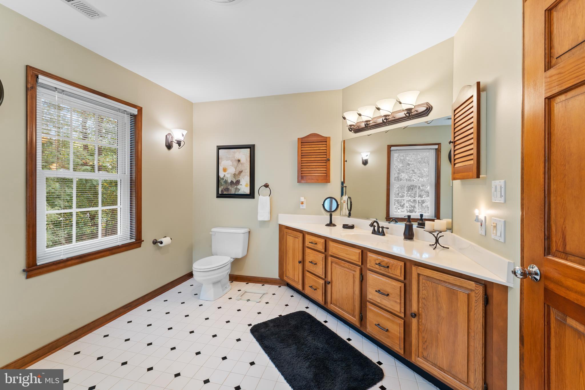 1433 Gilbert Road Arnold, MD 21012 - Photo 29 of 63 a bathroom with a sink mirror and a toilet