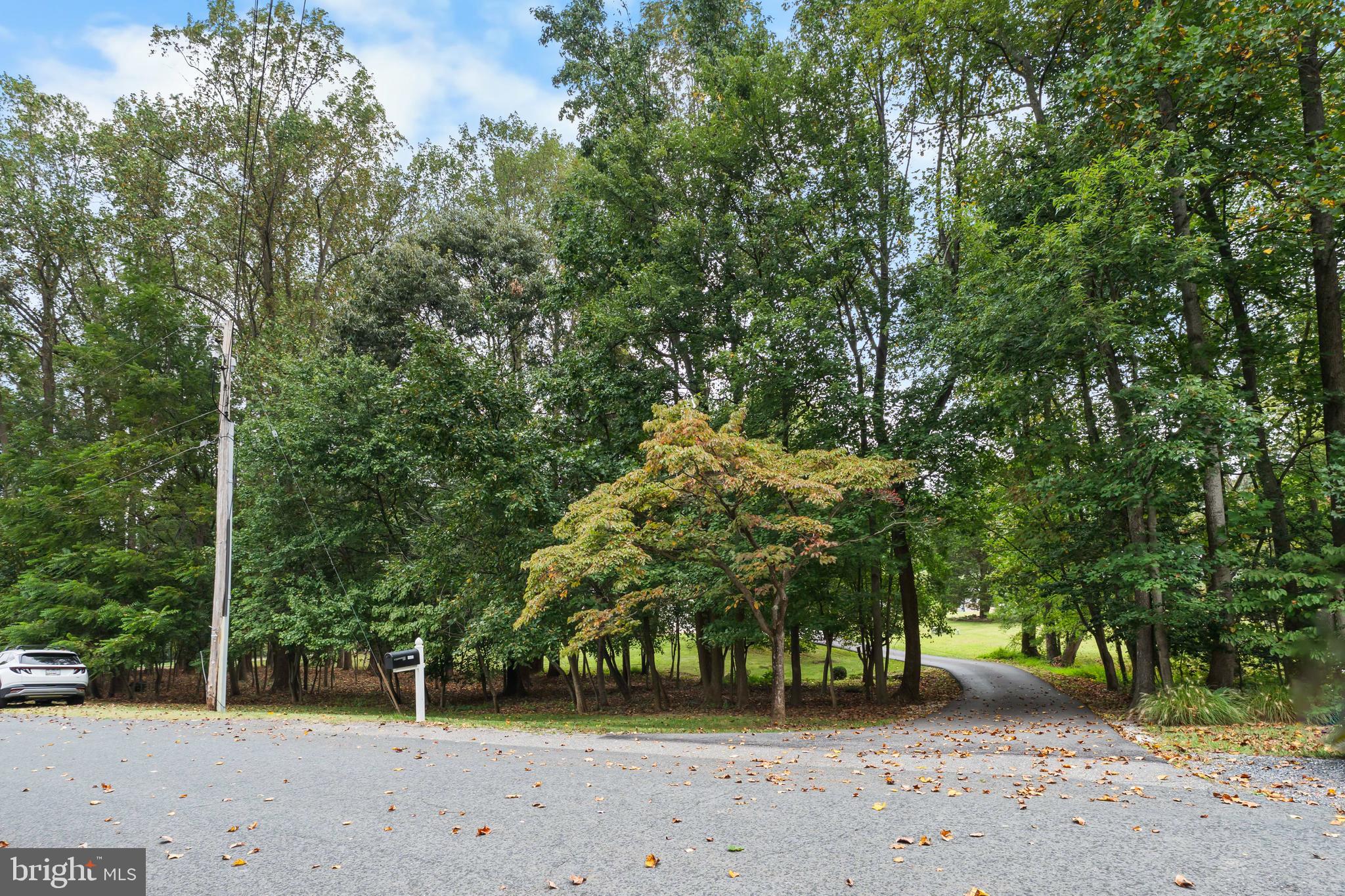 1433 Gilbert Road Arnold, MD 21012 - Photo 46 of 63 a view of backyard with green space