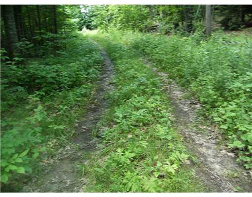 674 River Road Dresden, ME 04342 - Photo 17 of 17 Other. Driveway from Route 128.