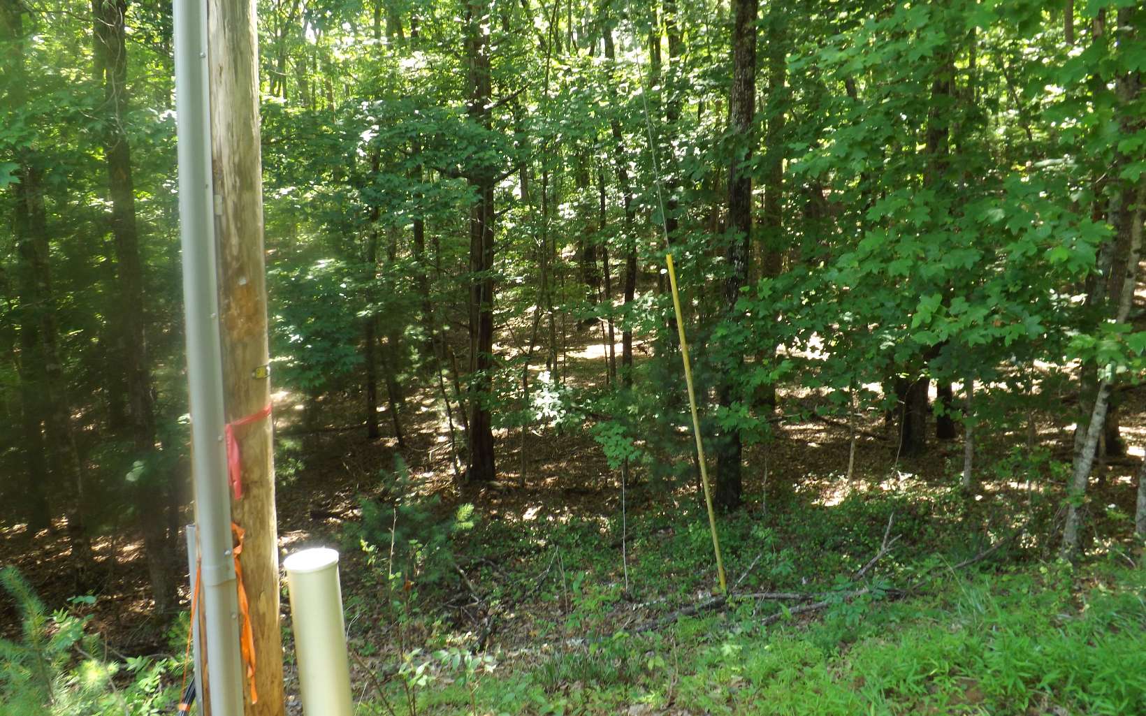 Additional View