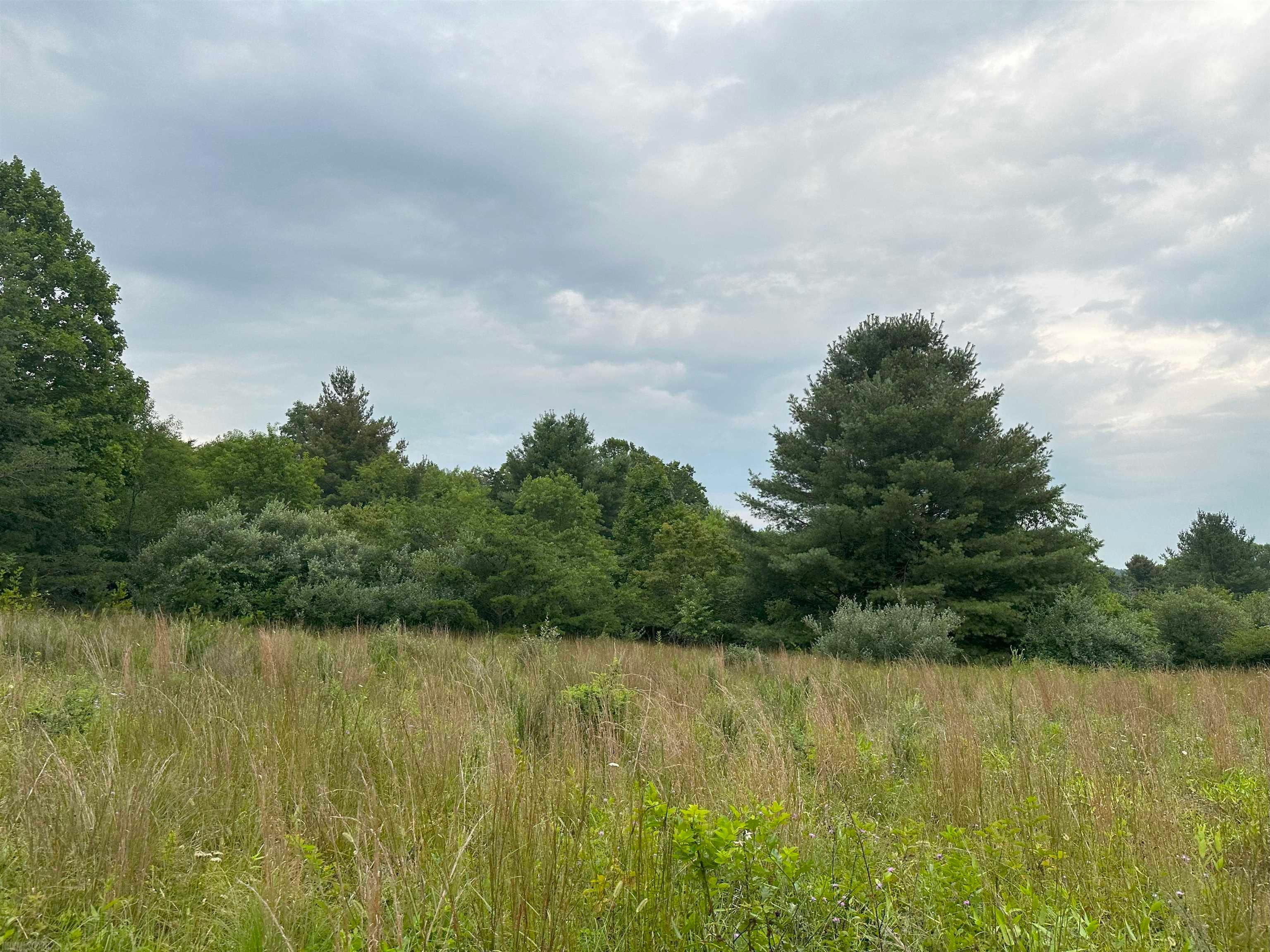 Tbd Claytor Road Northeast Pilot, VA 24138 - Photo 4 of 16 Gallery Image 4