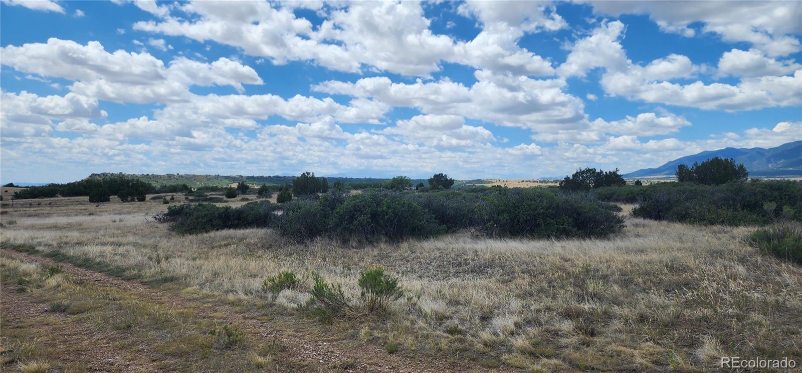 Lot 333 Patsy Circle Rye, CO 81069 - Photo 4 of 7 a view of outdoor space and green space