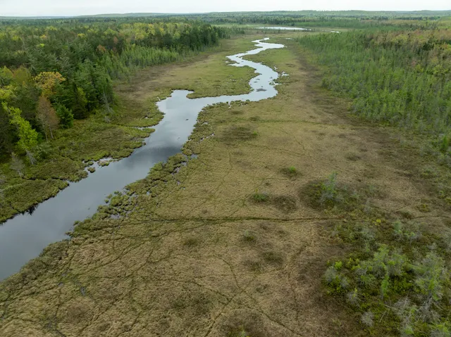 $5,000,000 | 5860 Turtle Lake Road, Gaylord, MI 49735