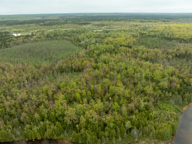 $5,000,000 | 5860 Turtle Lake Road, Gaylord, MI 49735