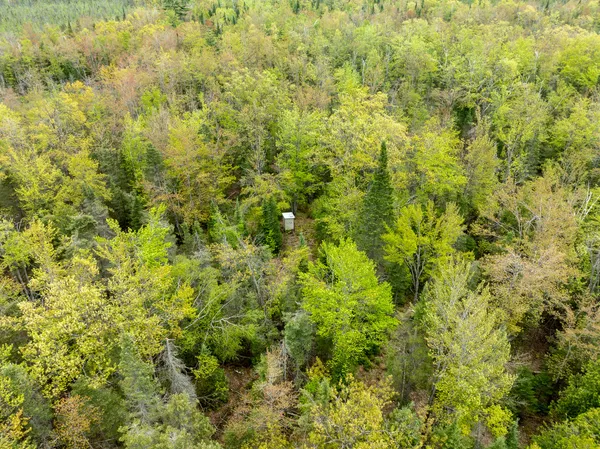 $5,000,000 | 5860 Turtle Lake Road, Gaylord, MI 49735