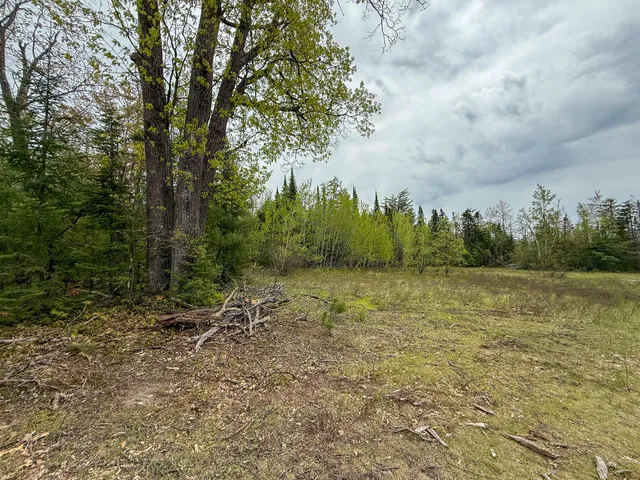 $5,000,000 | 5860 Turtle Lake Road, Gaylord, MI 49735