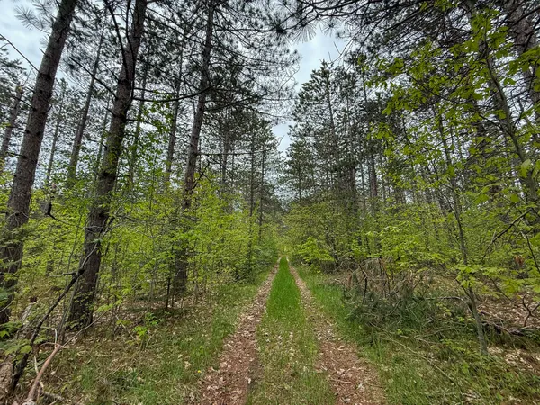 $5,000,000 | 5860 Turtle Lake Road, Gaylord, MI 49735