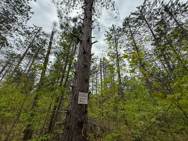 $5,000,000 | 5860 Turtle Lake Road, Gaylord, MI 49735