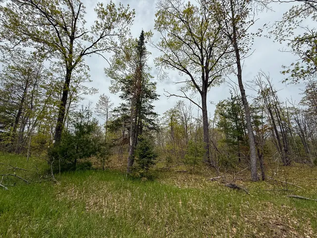 $5,000,000 | 5860 Turtle Lake Road, Gaylord, MI 49735