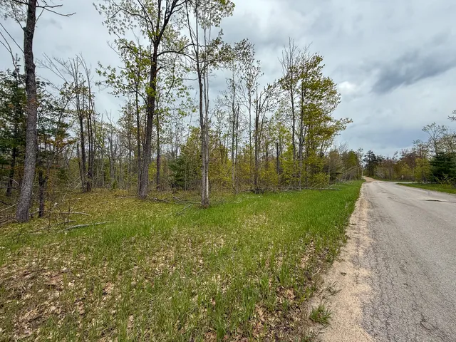 $5,000,000 | 5860 Turtle Lake Road, Gaylord, MI 49735