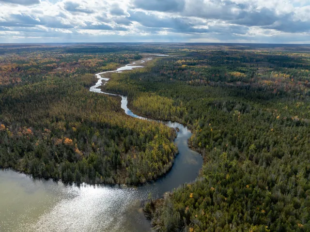 $5,000,000 | 5860 Turtle Lake Road, Gaylord, MI 49735