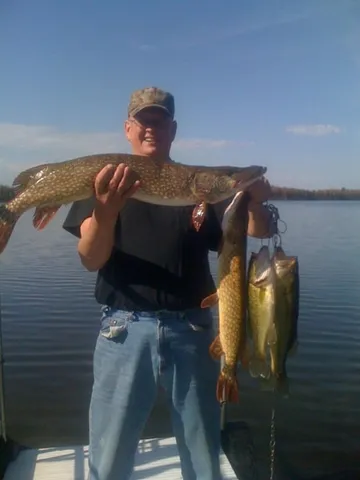 $5,000,000 | 5860 Turtle Lake Road, Gaylord, MI 49735