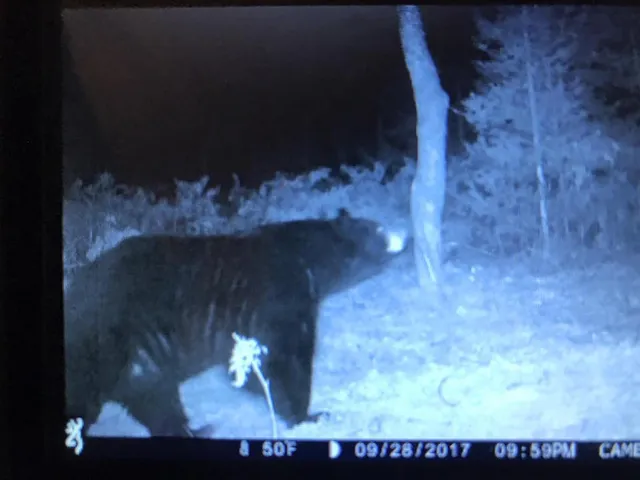 $5,000,000 | 5860 Turtle Lake Road, Gaylord, MI 49735