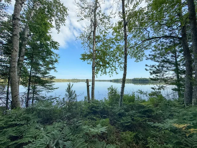 $5,000,000 | 5860 Turtle Lake Road, Gaylord, MI 49735