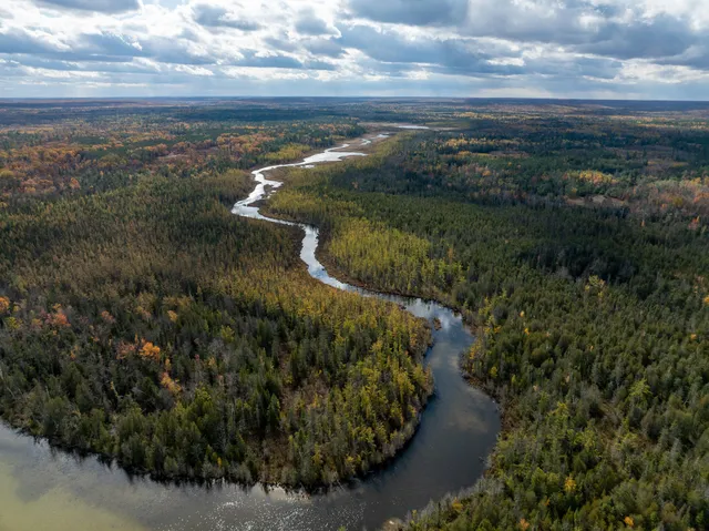 $5,000,000 | 5860 Turtle Lake Road, Gaylord, MI 49735