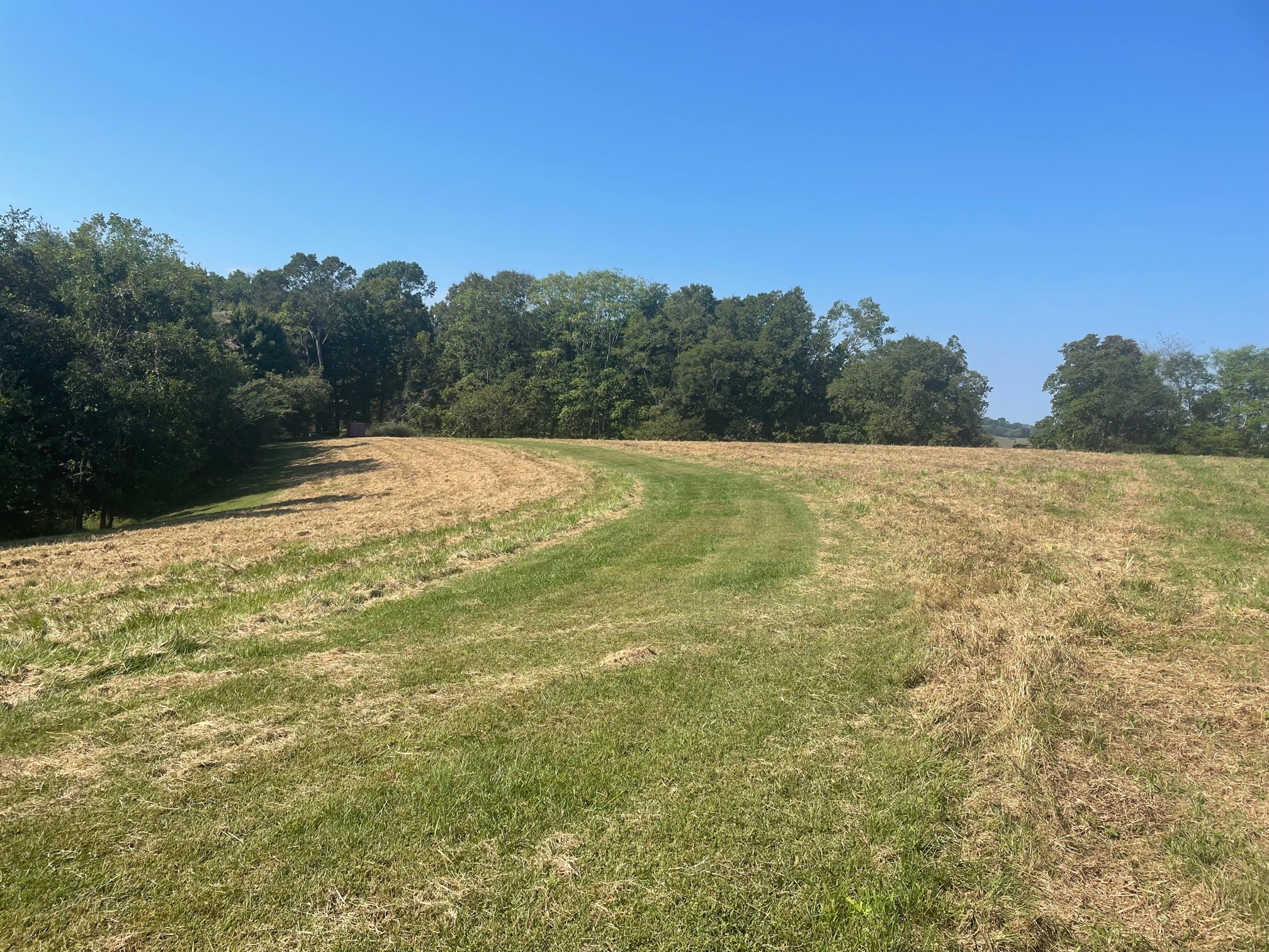 0 Water Valley Road Santa Fe, TN 38482 - Photo 3 of 7