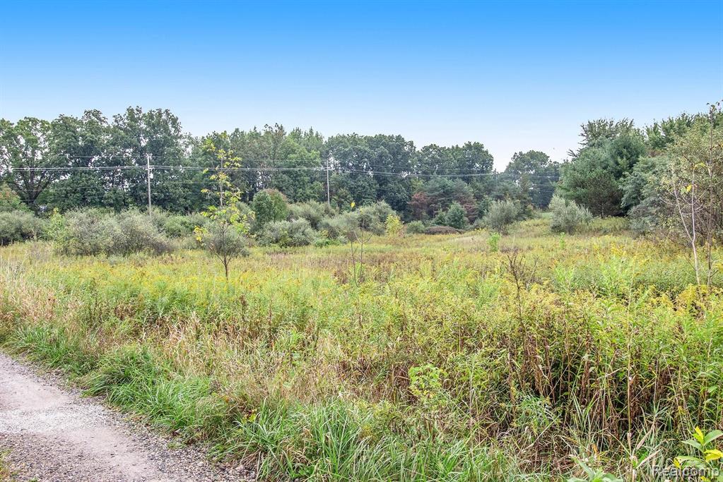 Vac Rattalee Lake Road Davisburg, MI 48350 - Photo 22 of 22