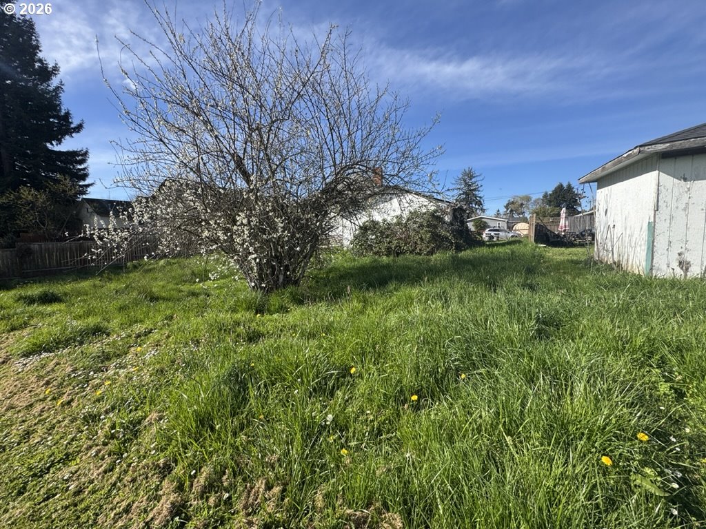 211 Church Street Amity, OR 97101 - Photo 6 of 7 a view of a yard