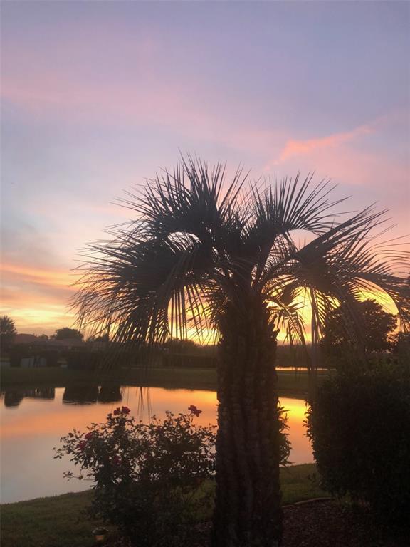 8472 Maybelle Drive Weeki Wachee, FL 34613 - Photo 4 of 58 a sunset view with lake