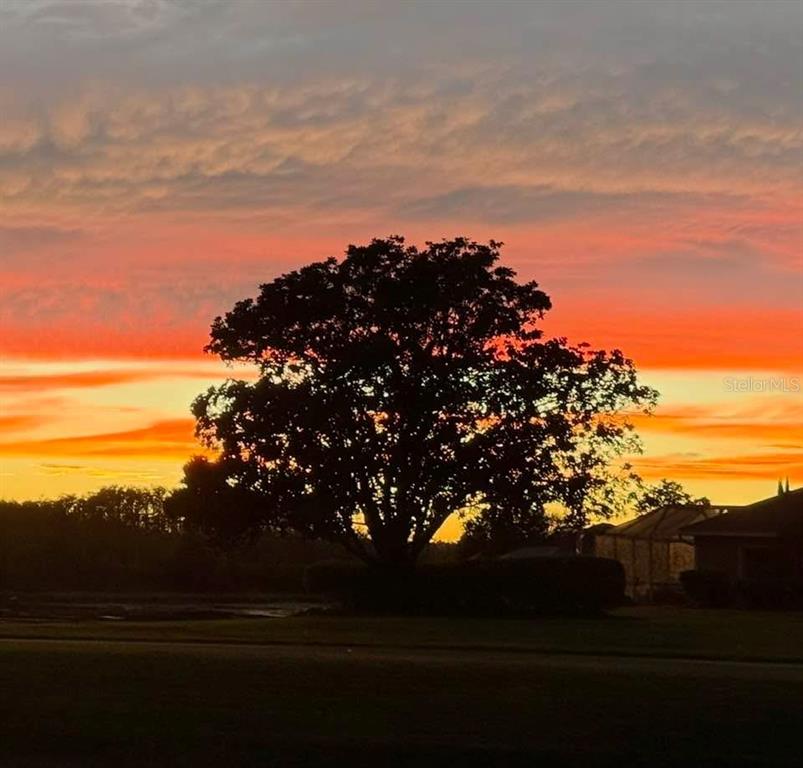 8472 Maybelle Drive Weeki Wachee, FL 34613 - Photo 57 of 58