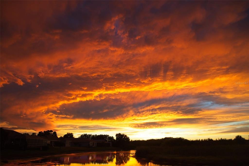 8472 Maybelle Drive Weeki Wachee, FL 34613 - Photo 58 of 58