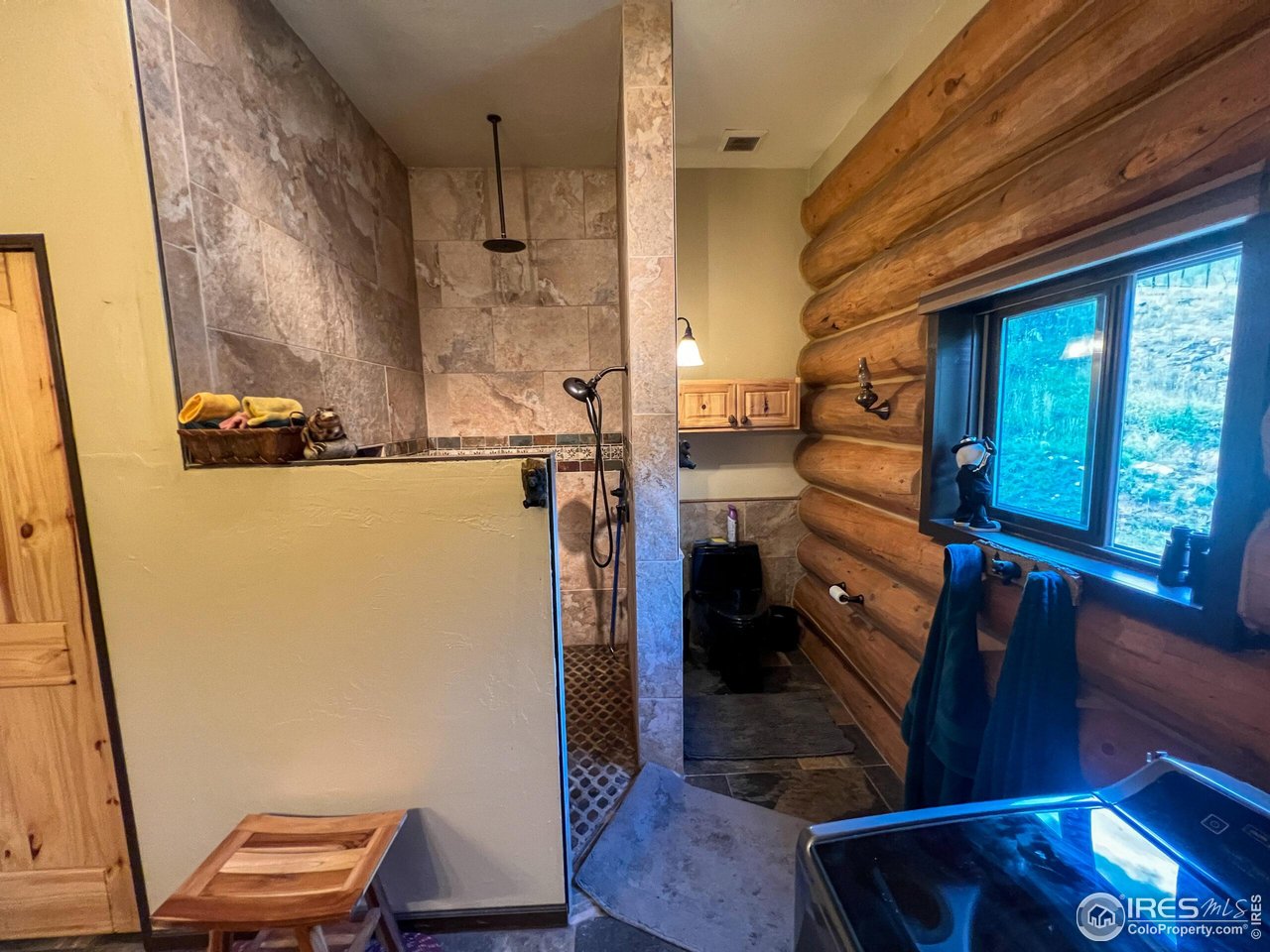 27667 Buckhorn Road Bellvue, CO 80512 - Photo 11 of 40 a view of bathroom